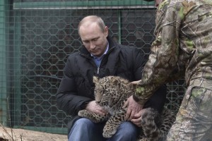 Putin entr a la jaula y acarici al leopardo en la cabeza