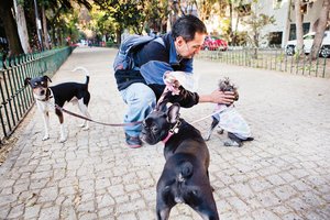 <b>Historia.</b> Mejor paseador que mensajero