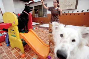 <b>Historia.</b> Reiki para 