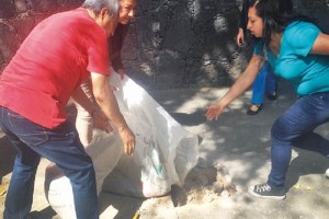 No habr paso atrs en parqumetros en Coyoacn Vecinos de la delegacin Coyoacn taparon los agujeros hechos por los trabajadores encargados de col