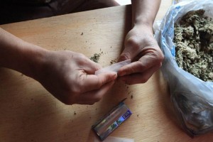 Hombres j�venes ycon m�s escolaridad son quienes apoyan legalizar el uso terap�utico de la droga, au