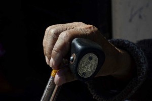 Los estudios revelaron que el 14 por ciento de los genes de ese organismo contribuye a regular la lo