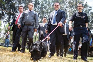 GDF pone en marcha plan para rescatar animales
