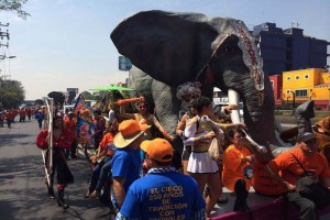 Trabajadores, Artistas y Empresarios del Circo caminan sobre dos carriles de la calzada de Tlalpan