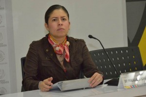 INAH debe avalar instalacin de parqumetros: PAN-DF Dijo que a la AEP se le olvida que al ser declarada una Zona de Monumentos Histricos, cualquier tip