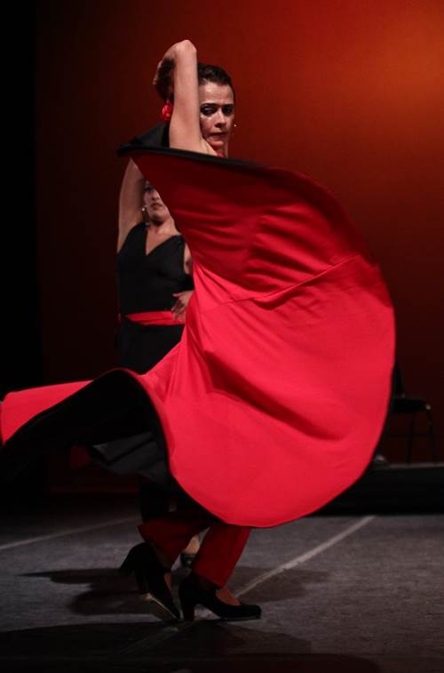 Flamenco invadir Nueva York