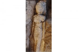 Los arquelogos hallaron la estatua junto al templo funerario de Amenhotep III, quien despus de su 