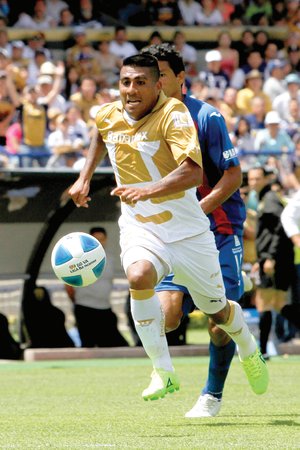 <b> Brasil 2014. </b> <b> Brasil 2014. </b>