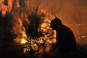 Al momento se han registrado 25 incendios forestales en siete municipios del estado, los que han con
