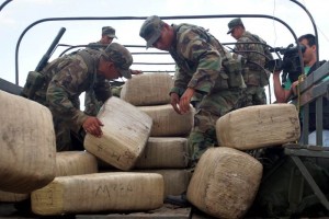 Van 130 tons de mariguana incautadas en Tamaulipas En Ciudad Reynosa se lograron los mayores golpes a la delincuencia, aunque tambin hubo importantes
