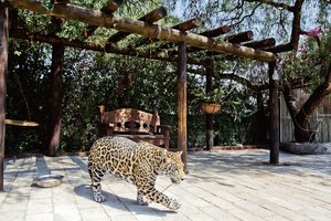 Los Pirules, rancho de animales estrella Los Pirules, rancho de animales estrella