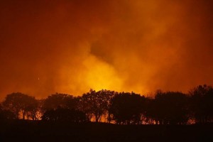 Ante la emergencia, acudieron al sitio brigadistas de Protecci�n Civil, personal del Ej�rcito Federa