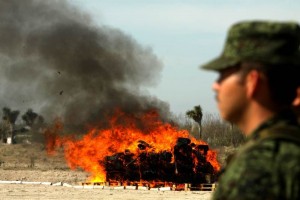 PGJE incinera 14 toneladas de droga en Sonora La destruccin de droga se realiz ante autoridades civiles y militares, la PGJE y un representante