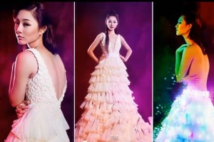 PROYECTO. Aunque est satisfecho de la repercusin obtenida, incluido un extravagante rcord vietnamita de