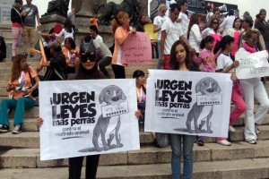 Marchan en Paseo de la Reforma contra maltrato animal Invitan a que la gente se una bajo consignas como 'animal y humano, todos somos hermanos'