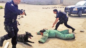 El perro polica que entiende francs El perro polica que entiende francs