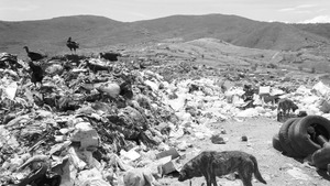 Educa en medio de la basura y olores ftidos