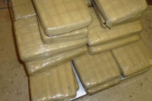 Los agentes decomisaron 907 kilos de mariguana ocultos en un cargamento de limones y detuvieron a un