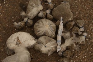 El aceite de hach�s se fabrica colocando en un tubo las hojas desechadas y los tallos de las plantas