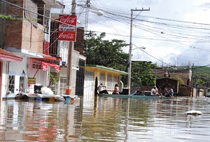 Van pases contra cambio climtico