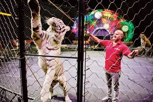 Cirqueros temen por su integridad