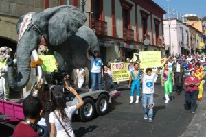 Avanza en ALDF prohibicin de uso de animales en circos Quien viole esta disposicin se hara acreedor a una multa econmica equivalente de 9 mil a 12 mil d
