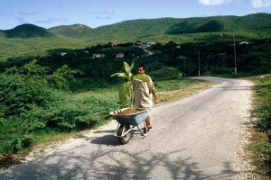 El Guggenheim de NY acoge arte latinoamericano Wilfredo Prieto, 'Walk', 2000. Una de las imgeenes que se expone en Solomon R. Guggenheim Museum, N