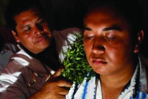 La medicina tradicional en Mxico se sigue practicando no slo en zonas indgenas apartadas, es una 