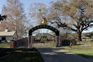 Aunque muchas de las empresas de Jackson siguen floreciendo y generando dinero tras su muerte, inclu