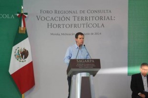 Castillo Cervantes reconoci� que la seguridad es importante pero tambi�n se tiene que trabajar en el