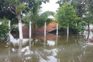 Las lluvias dejaron varias afectaciones en ambos estados