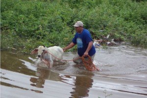 Los pobladores de los ranchos cercanos a 