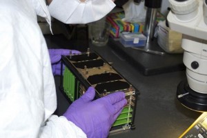 En el desarrollo del sat�lite trabajaron poco m�s de medio centenar de personas, y el aparato, que p