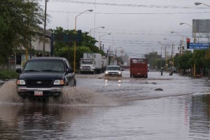 Se inundaron varias calles y colonias, cayeron rboles, postes y anuncios espectaculares, adems hub