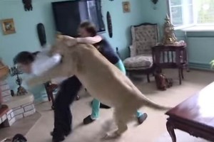 La v�ctima, que afortunadamente s�lo result� con algunos rasgu�os y magulladuras, quer�a demostrar q