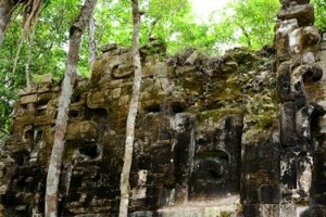 Hallazgos en Calakmul plantean nuevos retos Al parecer fue un centro poltico maya