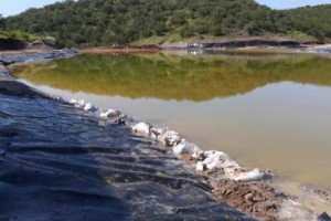 La solucin txica corri por la tierra hasta el arroyo La Cruz, que a su vez conecta con el Ro El 