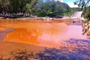 La Semarnat presentar� la pr�xima semana un informe de da�os y sanciones a la empresa Grupo M�xico p