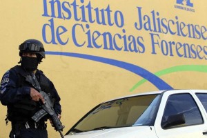 Los restos son analizados por especialistas del Servicio M�dico Forense, que s�lo observ� que los pe