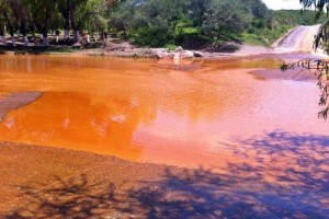 Sagarpa descarta contaminacin en productos de ro Sonora El delegado de la Sagarpa mencion que no se han encontrado sustancias que pongan en riesgo ni a la