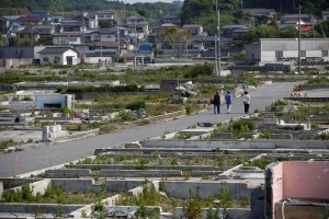 A pesar de que el gobierno regional y los ayuntamiento afectados han aceptado el plan de Tokio, nume