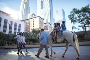 EU: urge crear plan global antinarco EU: urge crear plan global antinarco