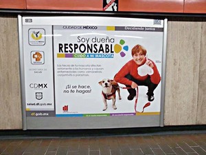 Participa en campa�a perruna con el GDF