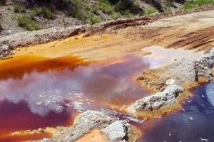 El gobernador Guillermo Padr�s acord� en la ciudad de M�xico con el Secretario del Trabajo, Alfonso 