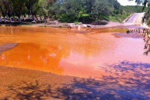 El 6 de agosto pasado, una falla estructural en una presa de jales de la minera Buena Vista del Cobr