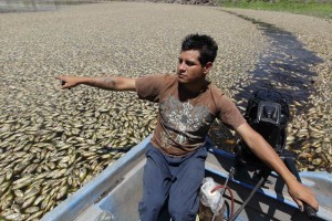 El rector record� que es la tercera o cuarta vez que ocurre este tipo de mortandad de peces en Cajit
