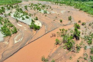 Inician acopio de productos en zona del Ro Sonora Se identificaron 305 productores agropecuarios en la zona afectada por la contaminacin, de los cual