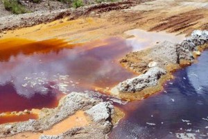 La Comisi�n hizo un llamado a la autoridad competente a redoblar acciones de vigilancia y supervisi�