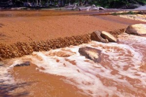 Los r�os Sonora y Bacanuchi fueron afectados por un derrame de sustancias t�xicas