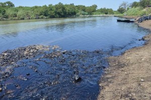 Las empresas que participan en la limpieza de los r�os son: Construplan, Tierra Caliente, Coesin Tra